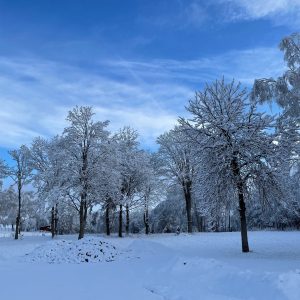 IMG_0256-1-scaled-1-1-1-1-1-1-1-1-1-1-1-1-1-1-1-1-1-1-1-1-1-1-1-1-1-1-1-1-1-1-1-1-1-1-1-1-1-1-1-1-1-1-1-1-1-1-1-1-1-1-1-1-1-1-1-1-1-1-1-1-1-1-1-1-1-1-1-1-1-1-1-1-1-1-1-1-1-1-1-1-1-1-1-1-1-1.jpg