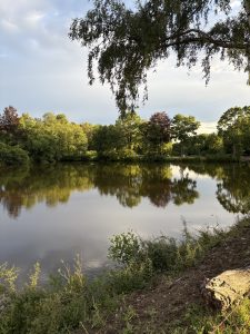 IMG_0449