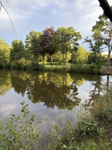 IMG_0452