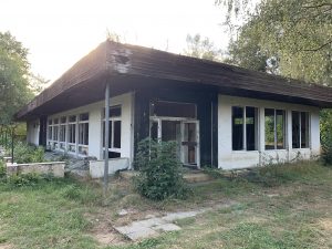 IMG_3225