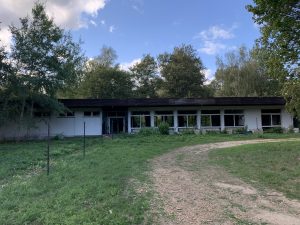 IMG_3241