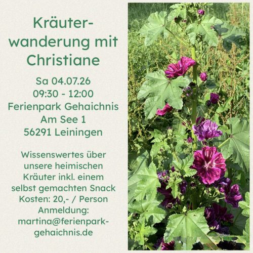 Die Kraft der Sommerkräuter
