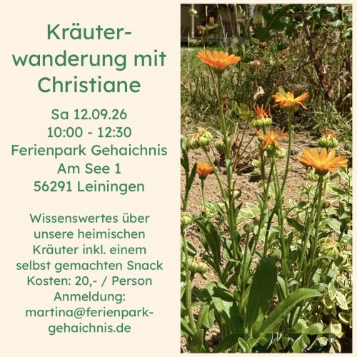 Die Kraft der Herbstkräuter